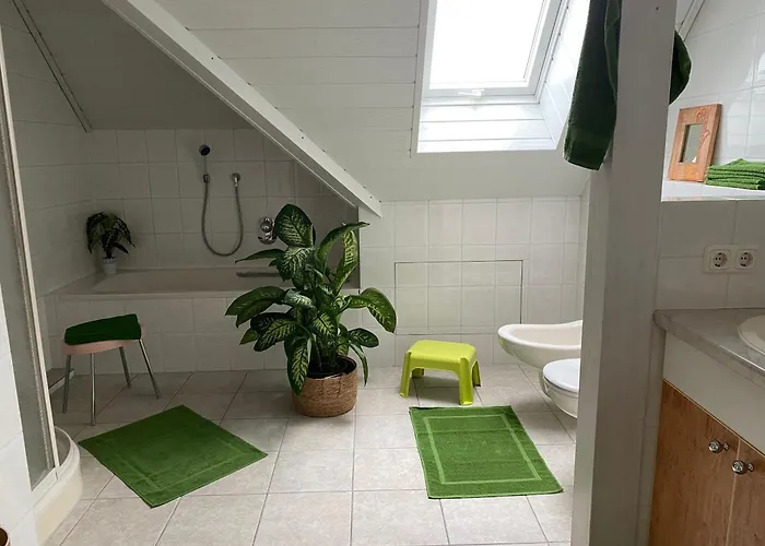 Apartment Orts-idyll Erlenbach am Main